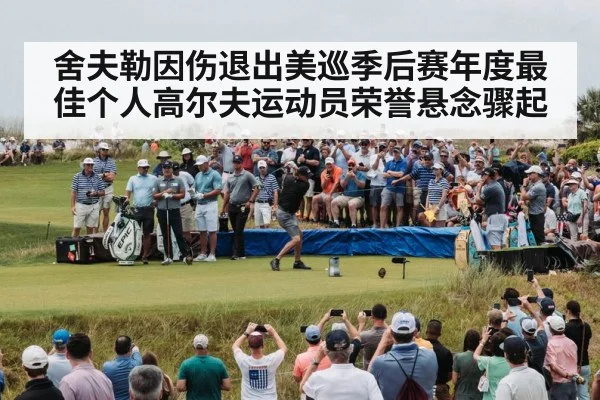 舍夫勒因伤退出美巡季后赛年度最佳个人高尔夫运动员荣誉悬念骤起