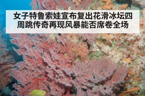 女子特鲁索娃宣布复出花滑冰坛四周跳传奇再现风暴能否席卷全场